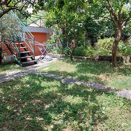Garden Apartmant Near Sea Kotor Zewnętrze zdjęcie