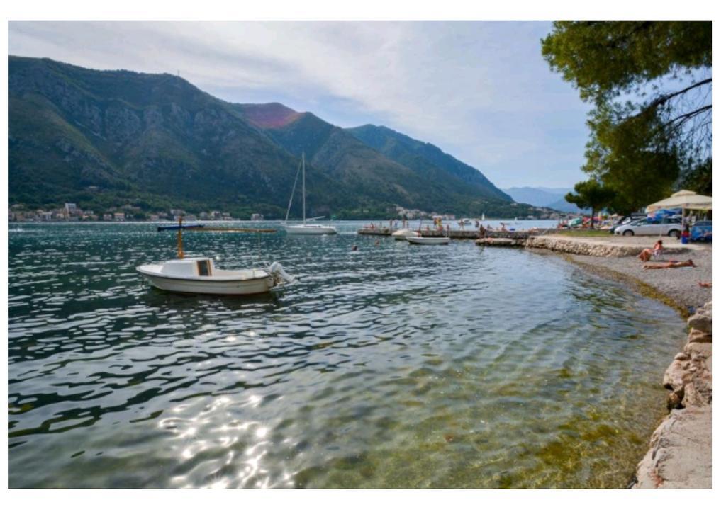 Garden Apartmant Near Sea Kotor Zewnętrze zdjęcie