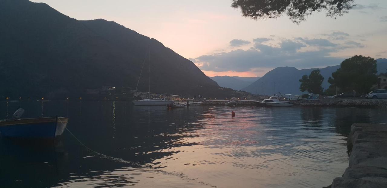 Garden Apartmant Near Sea Kotor Zewnętrze zdjęcie